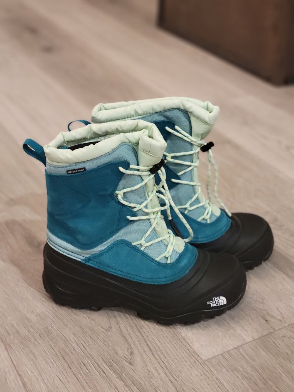 NWOT Girl's The North Face Alpineglow Snow Boots